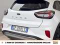 Ford Puma 1.0 ecoboost h titanium s&s 125cv Weiß - thumbnail 18