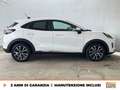 Ford Puma 1.0 ecoboost h titanium s&s 125cv Weiß - thumbnail 6