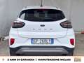 Ford Puma 1.0 ecoboost h titanium s&s 125cv Weiß - thumbnail 5