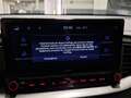 Kia ProCeed / pro_cee'd ProCeed 1.0 T-GDi GT-Line - Garantie Kia 02/2030 Gris - thumbnail 20
