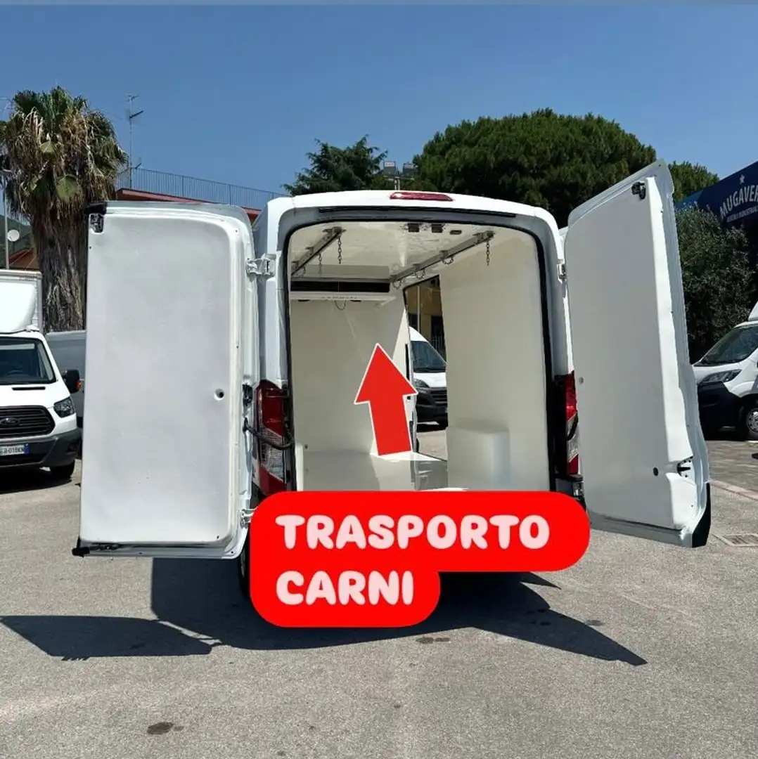 Ford Transit 2.0mhev 130cv L2H2 TRASPORTO CARNI APPESE Bianco - 1