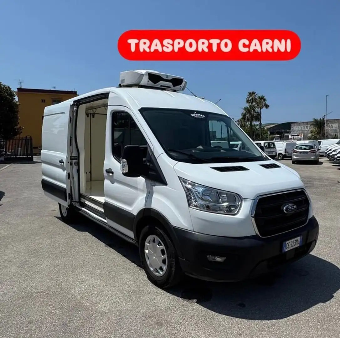 Ford Transit 2.0mhev 130cv L2H2 TRASPORTO CARNI APPESE Bianco - 2