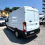 Ford Transit 2.0mhev 130cv L2H2 TRASPORTO CARNI APPESE Bianco - thumbnail 5