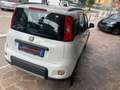 Fiat Panda 4X4 1.3 Multijet 16v 95CV TASTO ELD Blanc - thumbnail 5