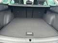 SEAT Leon SP Style 1.0eTSI 110PS DSG AppNavi FullLInk Gris - thumbnail 15