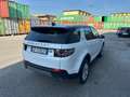 Land Rover Discovery Sport Discovery Sport 2.0 TD4 150 CV Auto Business Ed. P Blanc - thumbnail 6