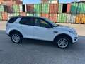 Land Rover Discovery Sport Discovery Sport 2.0 TD4 150 CV Auto Business Ed. P Blanc - thumbnail 5