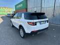 Land Rover Discovery Sport Discovery Sport 2.0 TD4 150 CV Auto Business Ed. P Blanc - thumbnail 10