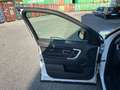 Land Rover Discovery Sport Discovery Sport 2.0 TD4 150 CV Auto Business Ed. P Blanc - thumbnail 13