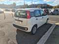 Fiat New Panda 1.2 benzina easy - thumbnail 6