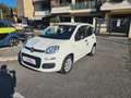 Fiat New Panda 1.2 benzina easy - thumbnail 3