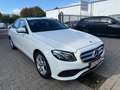 Mercedes-Benz E 220 d Avantgarde/Navi/Kamera/Ambient/TOP Blanc - thumbnail 3