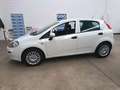 Fiat Punto 1.3 mjt  STREET SeS  4 serie Bianco - thumbnail 7