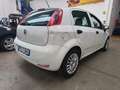 Fiat Punto 1.3 mjt  STREET SeS  4 serie Bianco - thumbnail 5