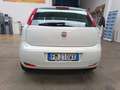 Fiat Punto 1.3 mjt  STREET SeS  4 serie Bianco - thumbnail 8