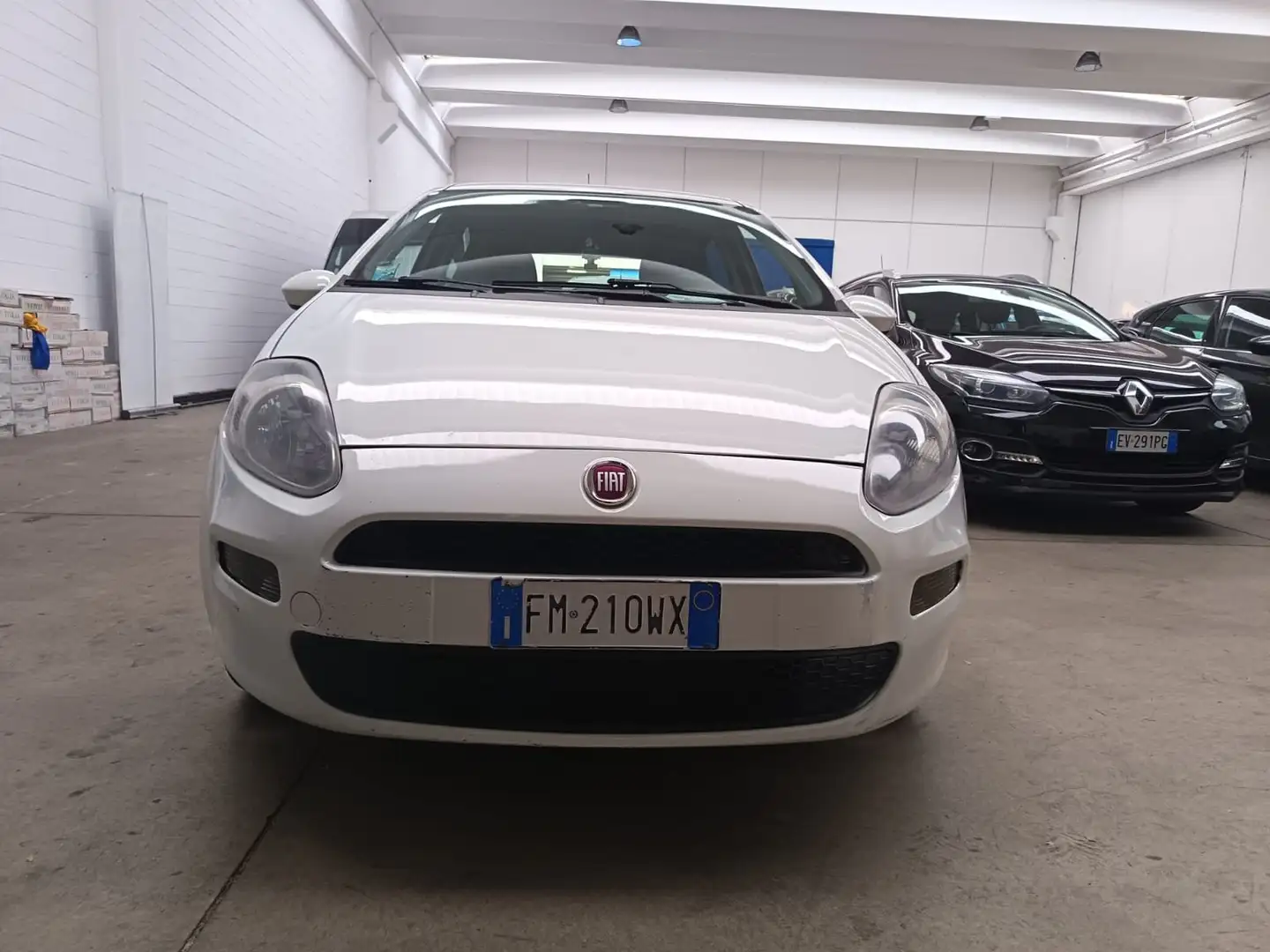 Fiat Punto 1.3 mjt STREET SeS 4 serie Bianco - 2