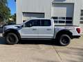 Ford F 150 F150 Raptor, MY25,AHK,SOFORT 3,5 V6 Weiß - thumbnail 3