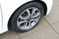 Kia Picanto 1.0 DPi DynamicPlusLine Navigatie / Camera / LMV Blanc - thumbnail 9
