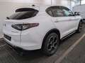 Alfa Romeo Stelvio 2.2D VELOCE Q4 NAVI/LED/KAMERA/MATRIX/SH Weiß - thumbnail 4