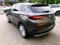 Opel Grandland Ultimate Leder Klima Navi SZHZG Gris - thumbnail 3
