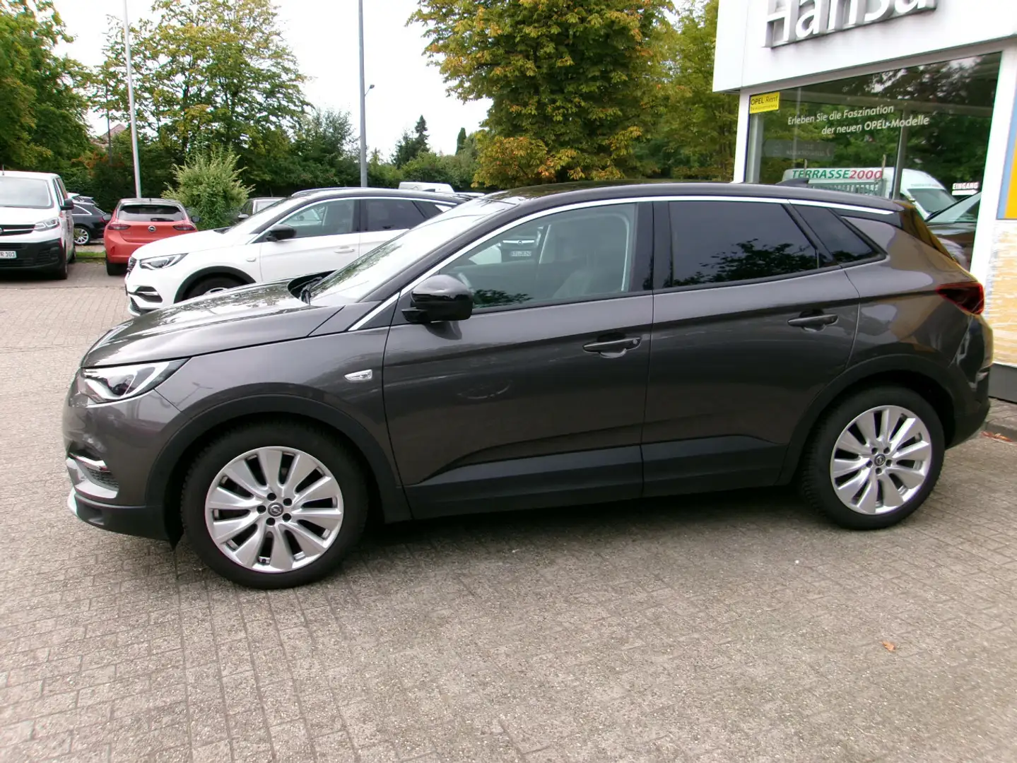 Opel Grandland Ultimate Leder Klima Navi SZHZG Gris - 2