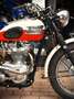 Triumph TR 6 B TROPHY ***MOTO VERTE*** Blanco - thumbnail 4