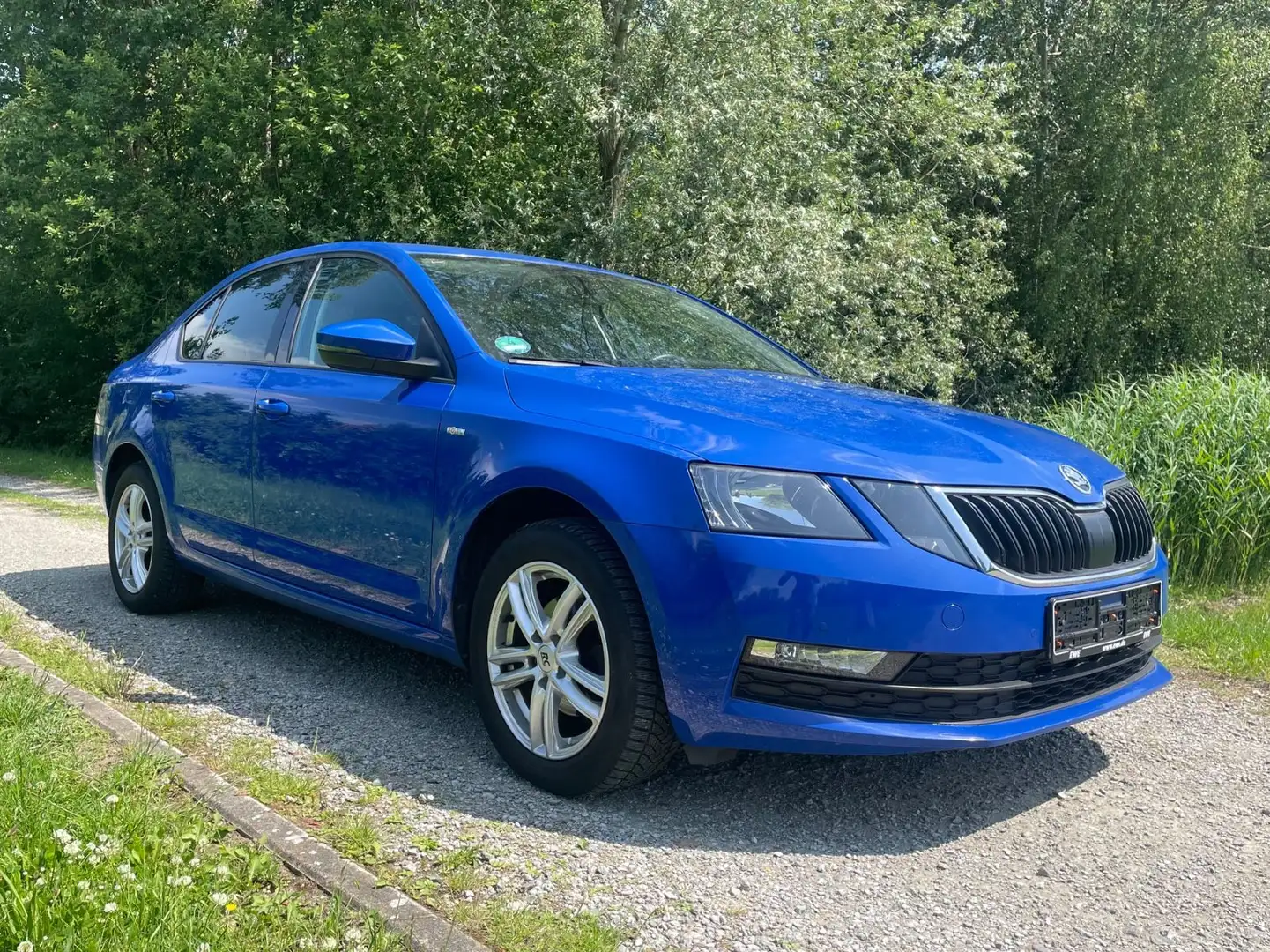 Skoda Octavia Lim. Soleil 1.6l TDI Automatik TÜV=Neu! Blau - 1