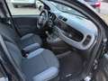 Fiat Panda 1.2 Easy Klima 2.Hand TOP Scheckheft Euro6 Noir - thumbnail 10