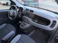 Fiat Panda 1.2 Easy Klima 2.Hand TOP Scheckheft Euro6 Noir - thumbnail 9