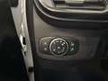 Ford Puma 1.0 EcoBoost MHEV Titanium 125 Blanco - thumbnail 20