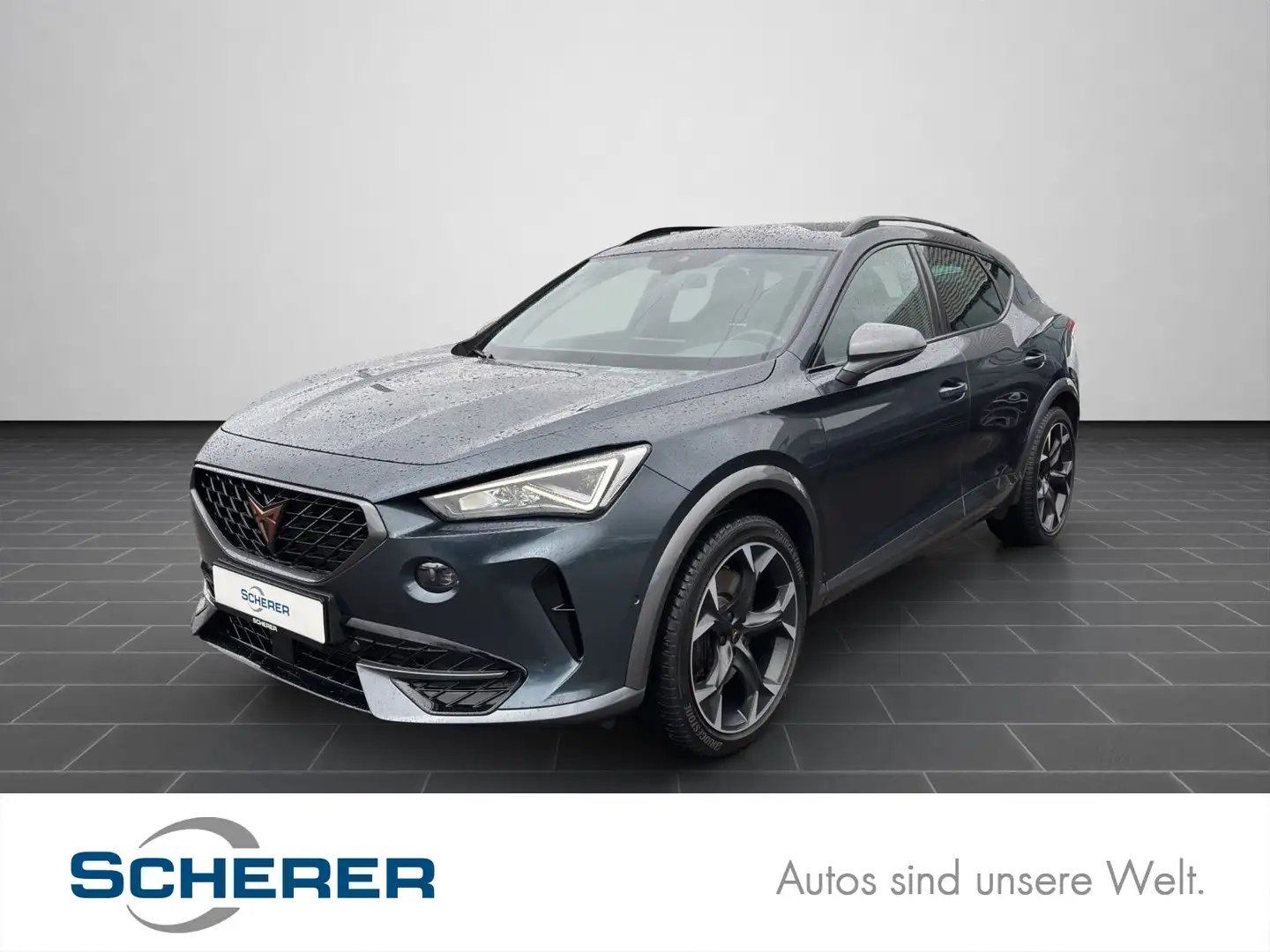 CUPRA Formentor 2.0 TSI LED KAMERA NAVI KLIMA Grau - 1