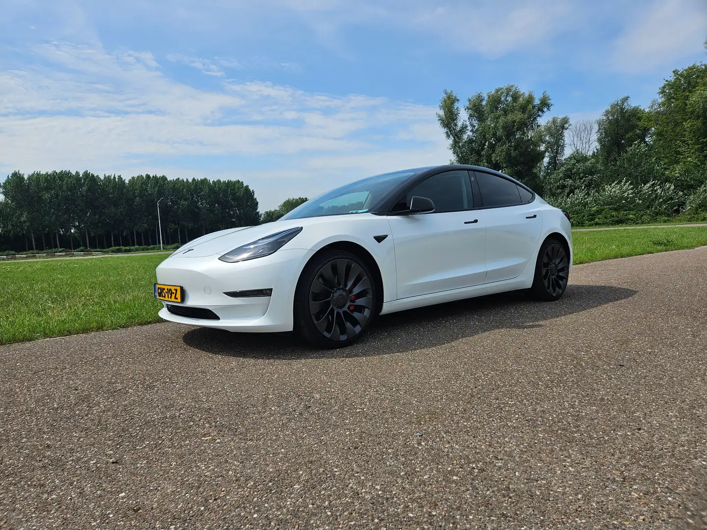Tesla Model 3 Model 3 Performance AWD75kWh Wit - 1