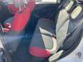 Fiat Panda 1.3 MJT 95 CV S&S Easy Bianco - thumbnail 10
