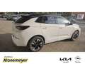 Opel Grandland 1.5 D Business Elegance Automatik 130PS AHK-abnehm Weiß - thumbnail 4