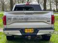 Ford F 150 Ecoboost Platinum Silber - thumbnail 6
