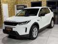 Land Rover Discovery Sport Sport S AWD/NEUES-MODELL/LEDER/360''KAMERA Weiß - thumbnail 9