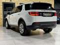 Land Rover Discovery Sport Sport S AWD/NEUES-MODELL/LEDER/360''KAMERA Weiß - thumbnail 12
