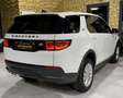 Land Rover Discovery Sport Sport S AWD/NEUES-MODELL/LEDER/360''KAMERA Weiß - thumbnail 34