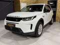 Land Rover Discovery Sport Sport S AWD/NEUES-MODELL/LEDER/360''KAMERA Weiß - thumbnail 5