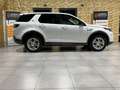 Land Rover Discovery Sport Sport S AWD/NEUES-MODELL/LEDER/360''KAMERA Weiß - thumbnail 10