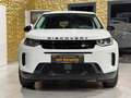 Land Rover Discovery Sport Sport S AWD/NEUES-MODELL/LEDER/360''KAMERA Weiß - thumbnail 4