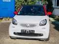 smart forTwo coupe Weiß - thumbnail 2