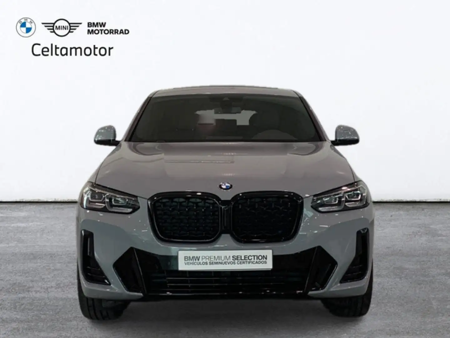 BMW X4 xDrive 20dA xLine Gris - 2