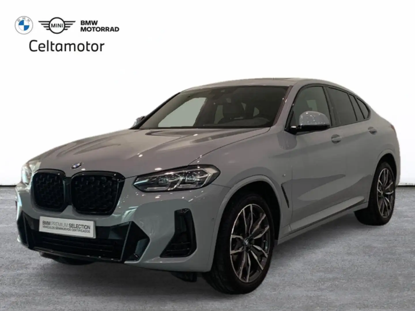 BMW X4 xDrive 20dA xLine Gris - 1