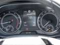 Skoda Fabia 1.0 TSI Ambition Navi, LED Grau - thumbnail 15