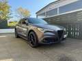 Alfa Romeo Stelvio Stelvio 2020 2.2 t Ti Q4 190cv auto Grijs - thumbnail 3
