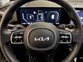 Kia Sorento 1.6 tgdi hev Evolution 4wd at6 Oro - thumbnail 12