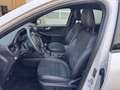 Ford Kuga 1.5 EcoBoost ST-LINE X Blanc - thumbnail 6