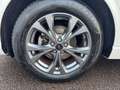 Ford Kuga 1.5 EcoBoost ST-LINE X Blanc - thumbnail 10