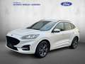 Ford Kuga 1.5 EcoBoost ST-LINE X Blanc - thumbnail 1